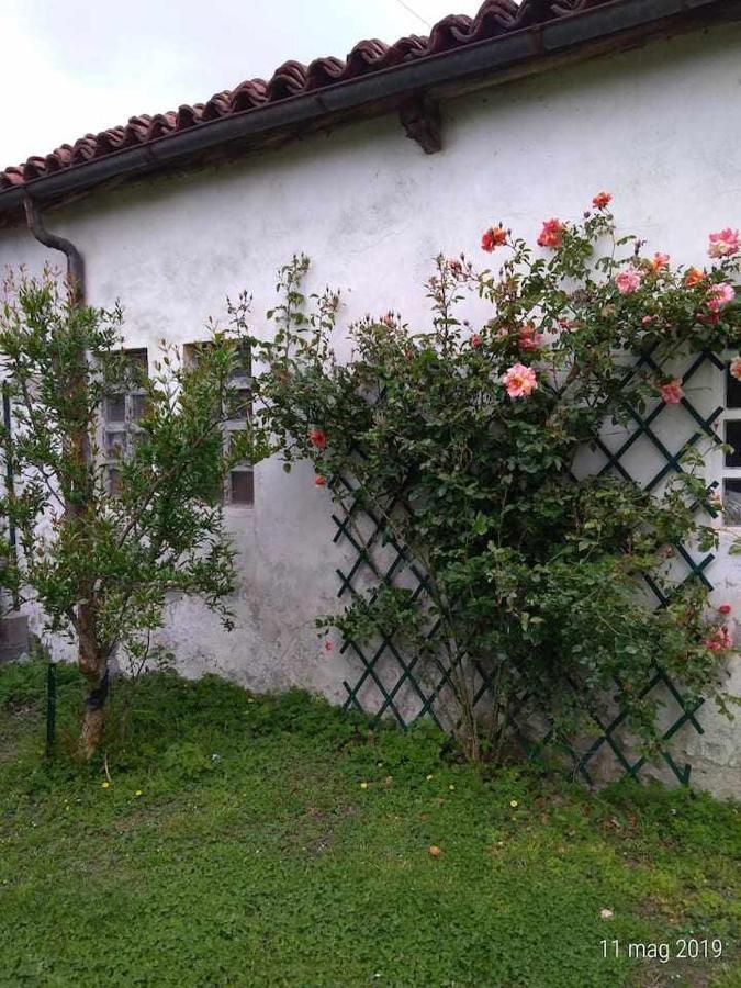 Beb Infamiglia Acomodação com café da manhã Cascinette Exterior foto